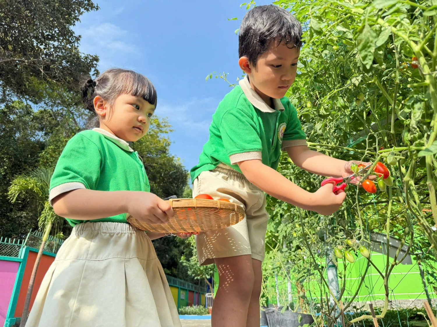 z7345061593181 c29504b132fe19902e20acf3c9bcb8ee