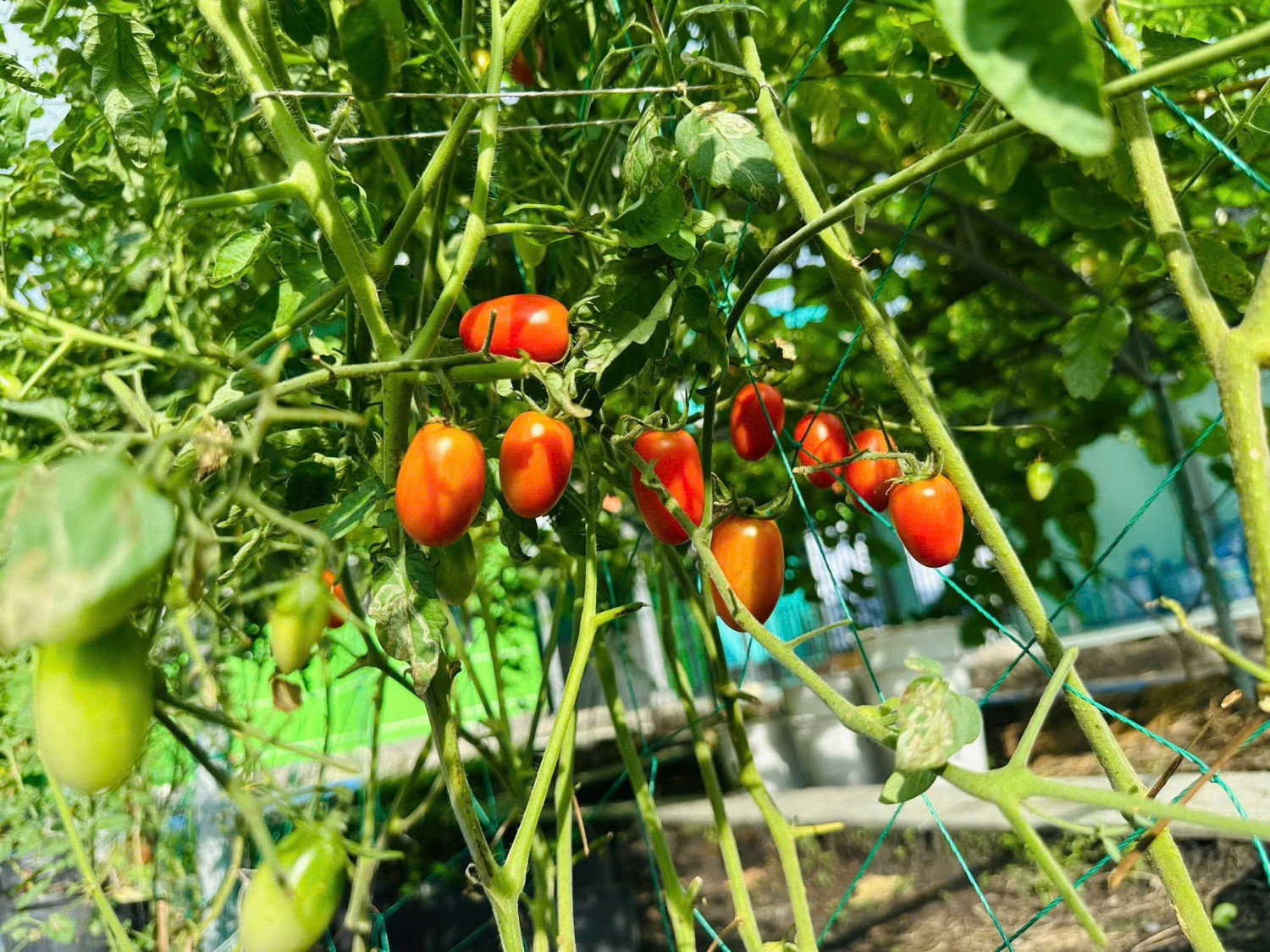 z7345061603282 a57f704e91c813d16c3939d07de47f5a