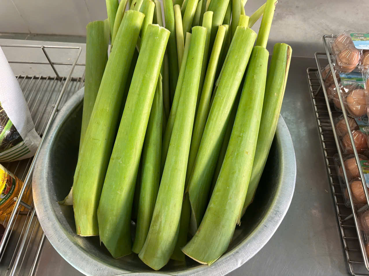 gen h z7744008042271 87ab338b2a8e74ba2c4d21242f3ee03f