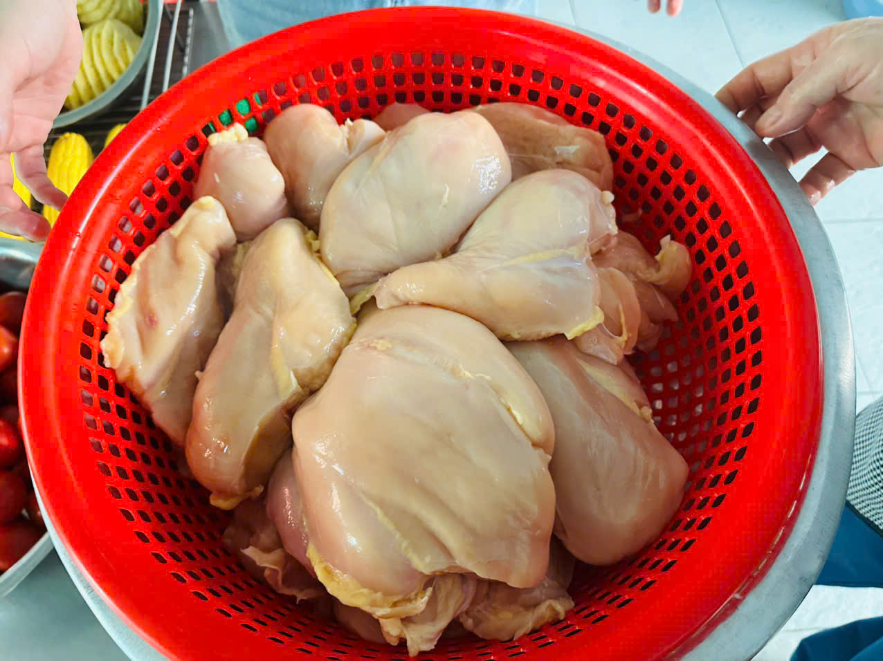 gen h z7744008098400 74734b448e1037a915389a8e06293257