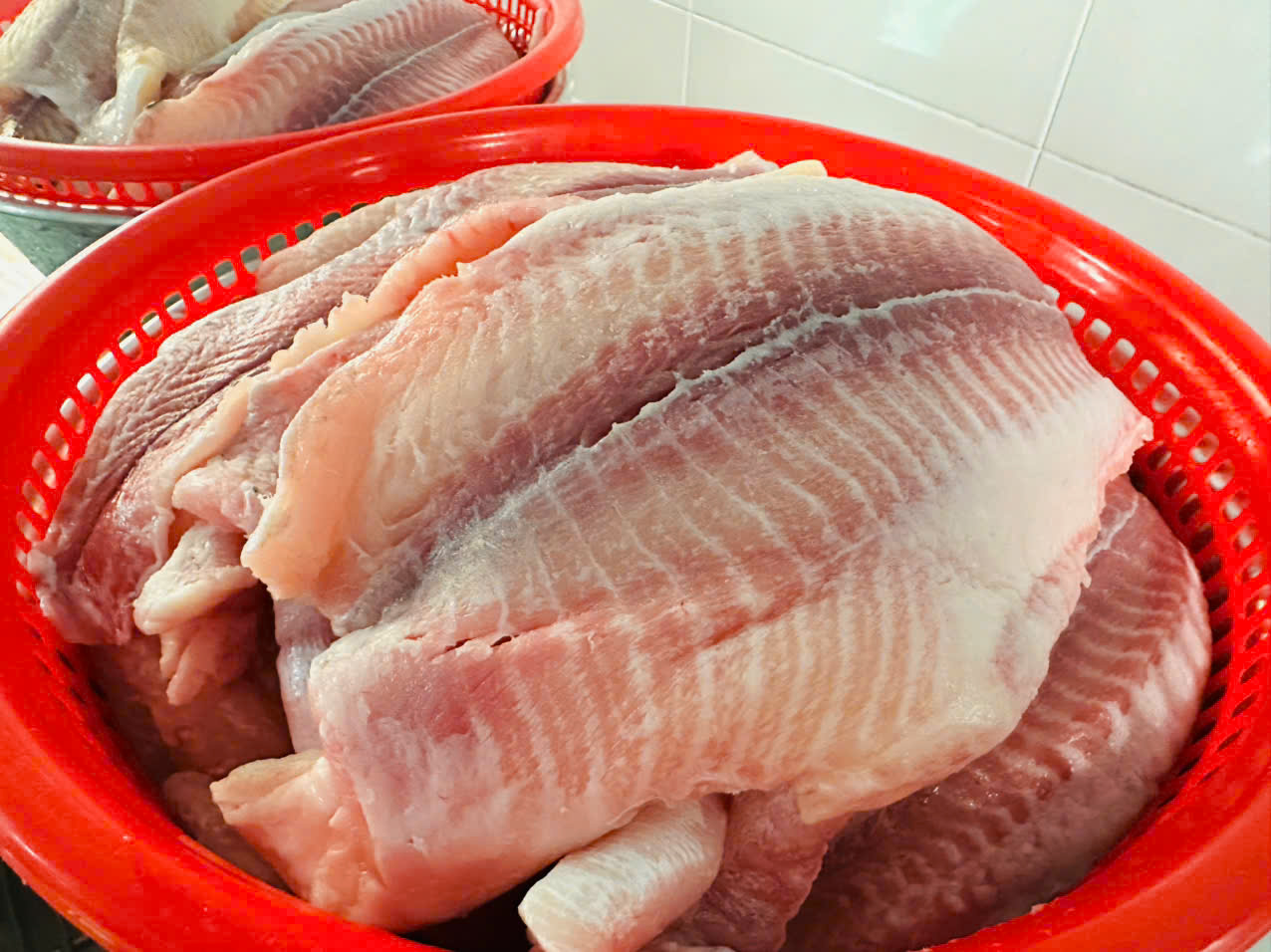 gen h z7744008099500 5897ce877cba5c3cdf3a2a88be5f94fc